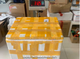 Vận chuyển hàng hóa - Công Ty TNHH Thương Mại Và Dịch Vụ Vận Tải Tân Triều EXPRESS